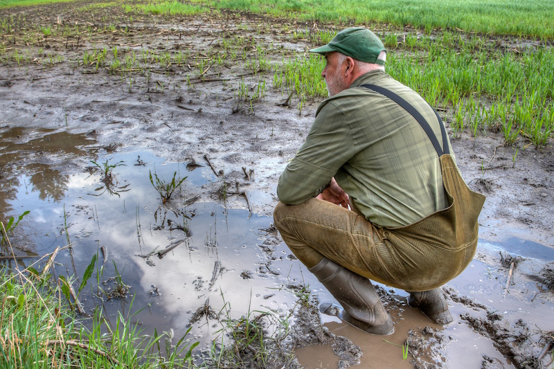 Farming In Extreme Weather: How Ziegler Ag Helps You Stay Resilient